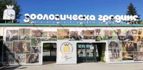 Нови противоепидемични мерки в Зоологическа градина-София